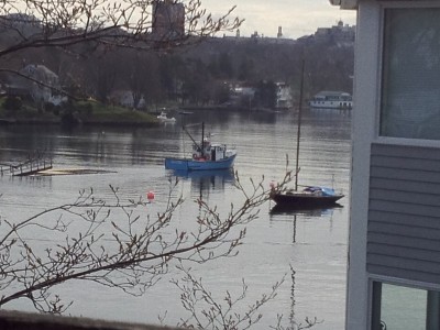 The Docks are in at Halifax Rowing Club